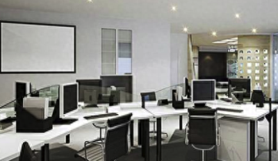 办公室风水布局怎么可以旺财（女性办公室最旺风水植物）