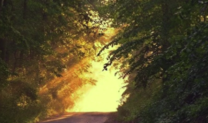 水象星座哪三个（水象星座哪三个日期）