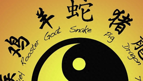 2003年属什么生肖（2003年属什么生肖五行属于什么命）