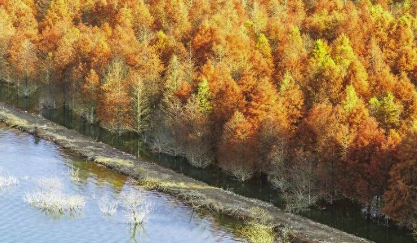 万年历老黄历看吉日2023年（万年历老黄历看吉日2023年10月15日）