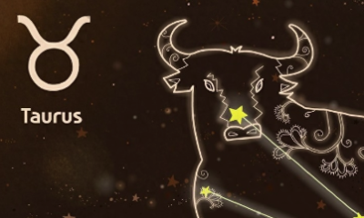 十二星座的守护神兽是什么（十二星座的守护神兽龙）