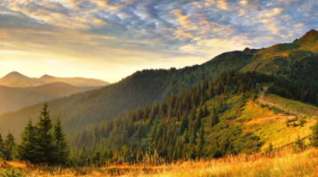 男人叶取微信名（微信名男的起什么好）