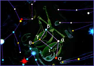 名扬天下起名靠谱吗